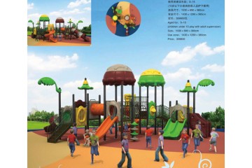 China Playground Equipment