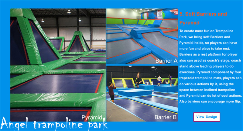 the trampoline place 