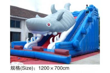 Kids Inflatable