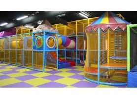 Designing the Indoor Jungle Gym in the Shape of Animal is Intere