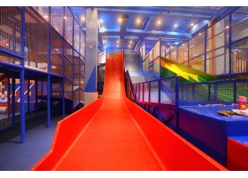 Indoor Jungle Gym Needs More Plants to Make a Green Environment for Children Indoor Jungle Gym Needs More Plants to Make a Green Environment for Children