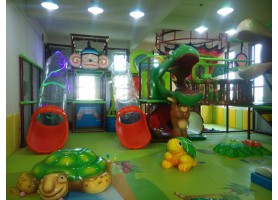 Indoor Playground Equipment Facilitates Children's Natural Growth