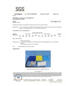 SGS Material test Report 02