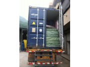 Indoor jungle gym in Ireland  Indoor jungle gym in Ireland