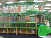 indoor jungle gyme
