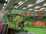 indoor jungle gyme