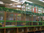 indoor jungle gyme  indoor jungle gyme
