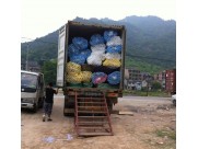Indoor play structures installed in Cavan Ireland Indoor play structures installed in Cavan Ireland