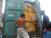 Kids playground equipment in Slovakia  Kids playground equipment in Slovakia