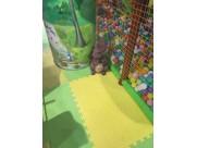 toddler jungle gym  toddler jungle gym