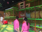 toddler jungle gym toddler jungle gym