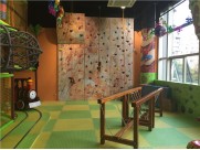 toddler jungle gym  toddler jungle gym