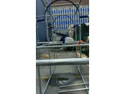 jungle Theme indoor jungle gym for clients in Latvia  jungle Theme indoor jungle gym for clients in Latvia